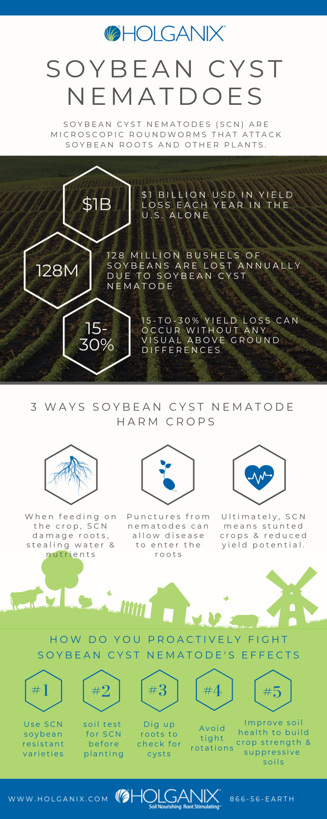 Soybean cyst nematode infographic