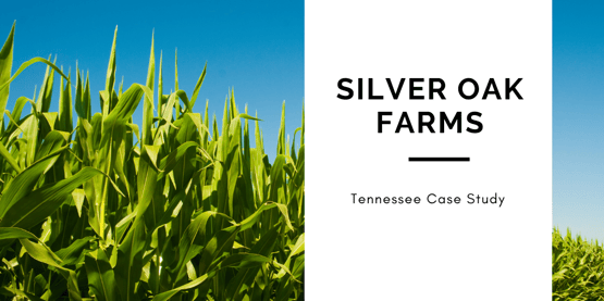 silver oak farm