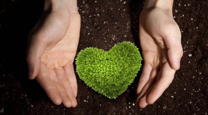 Heart_soil-964029-edited.jpg