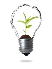 Water__Plant__Lightbulb.jpg