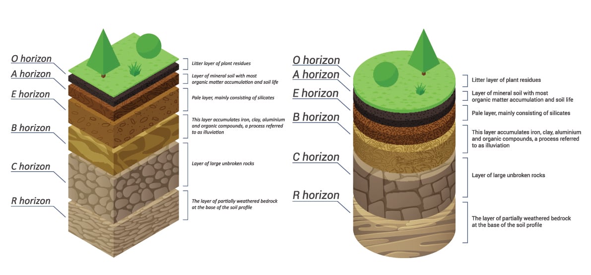 soil profile layers