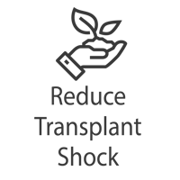 transplant shock