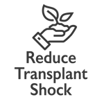 transplant shock