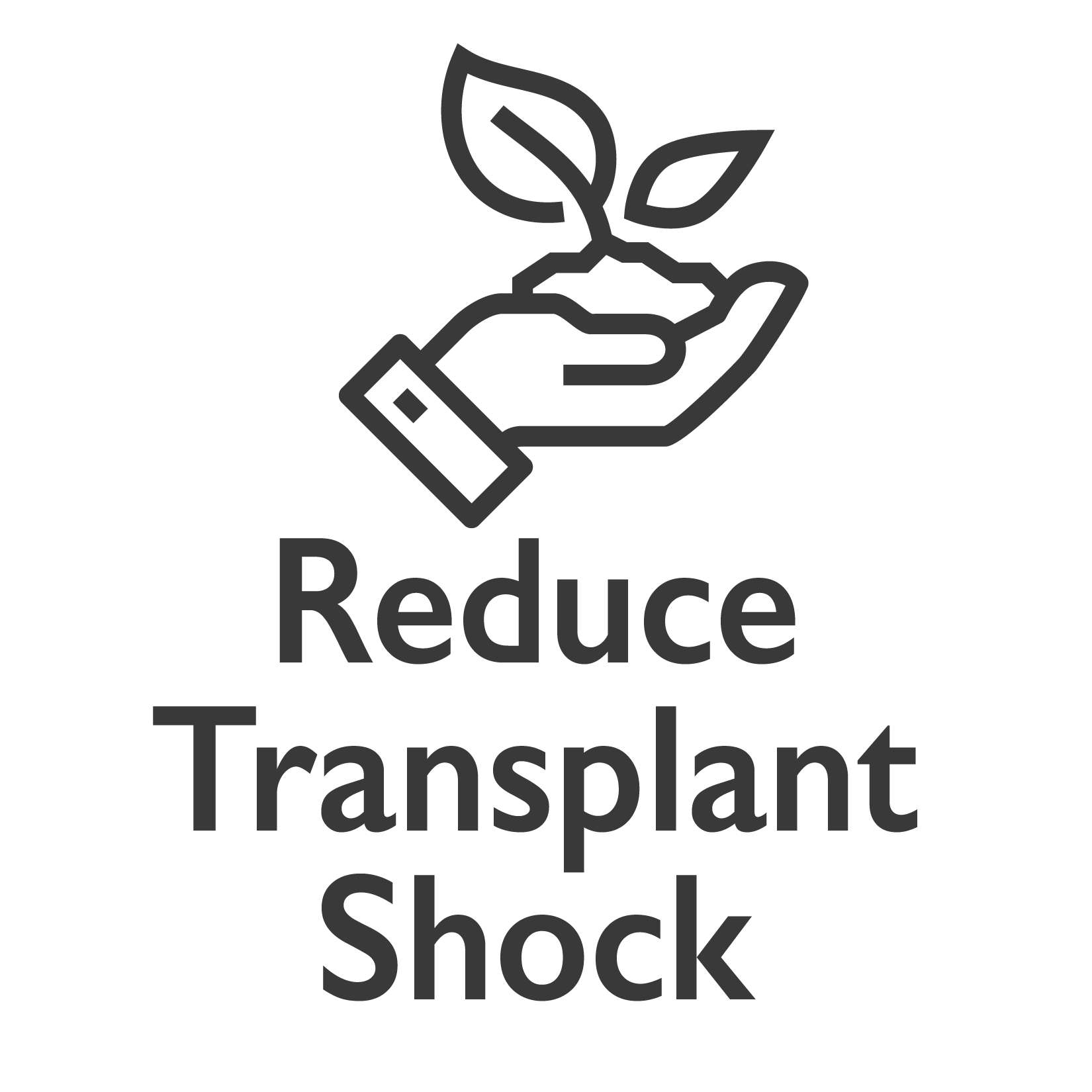reduce transplant shock