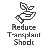 Transplant shock