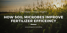 How Soil Microbes Improve Fertilizer Efficiency