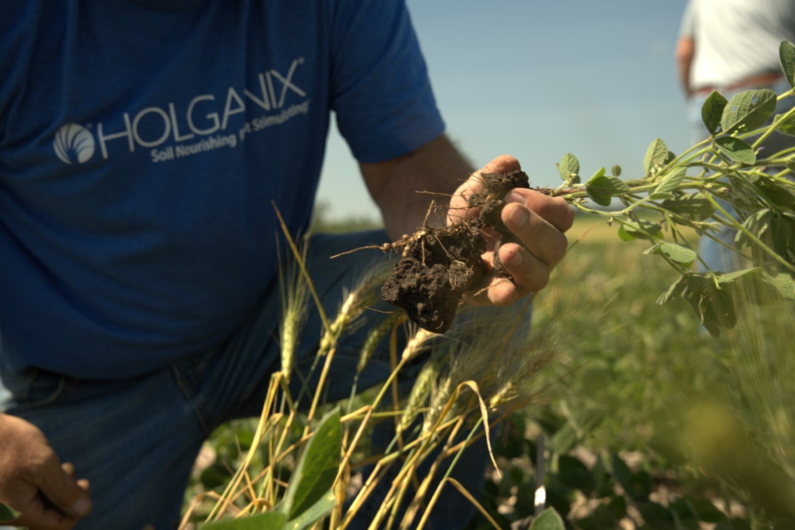 soil health