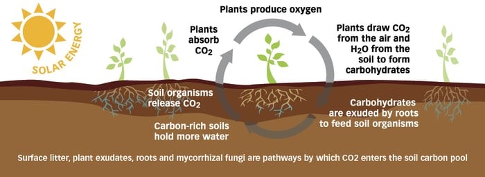 carbon farming