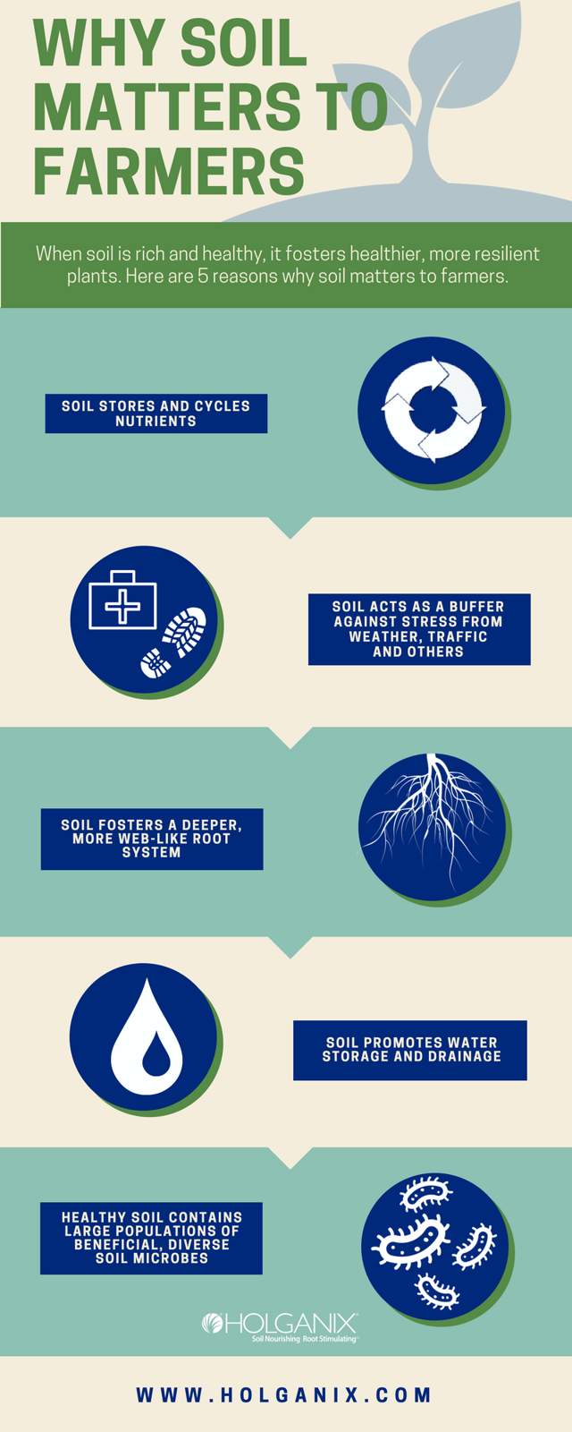 why soil matters infographic.png