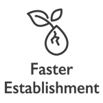 faster establishment