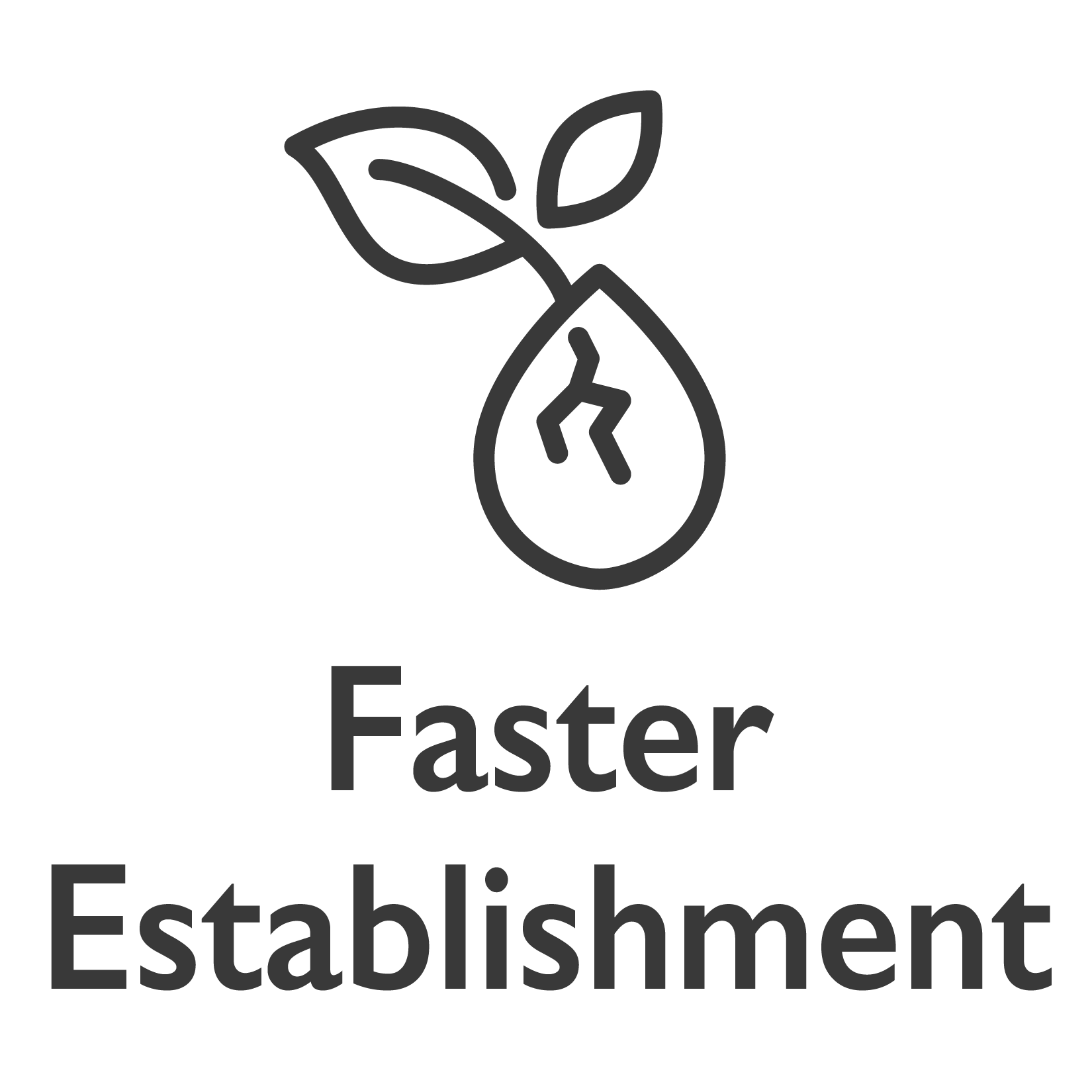 faster establishment