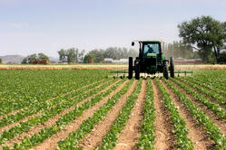holganix agriculture