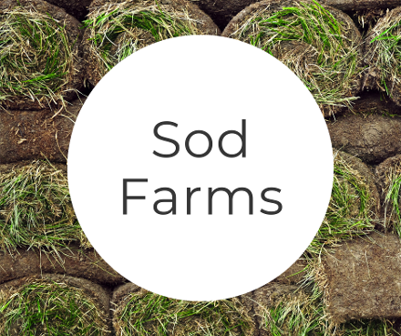 sod farm