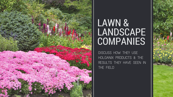 Lawn_care_companies