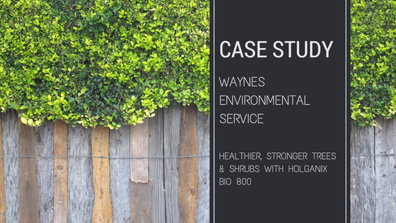 Waynes environmental