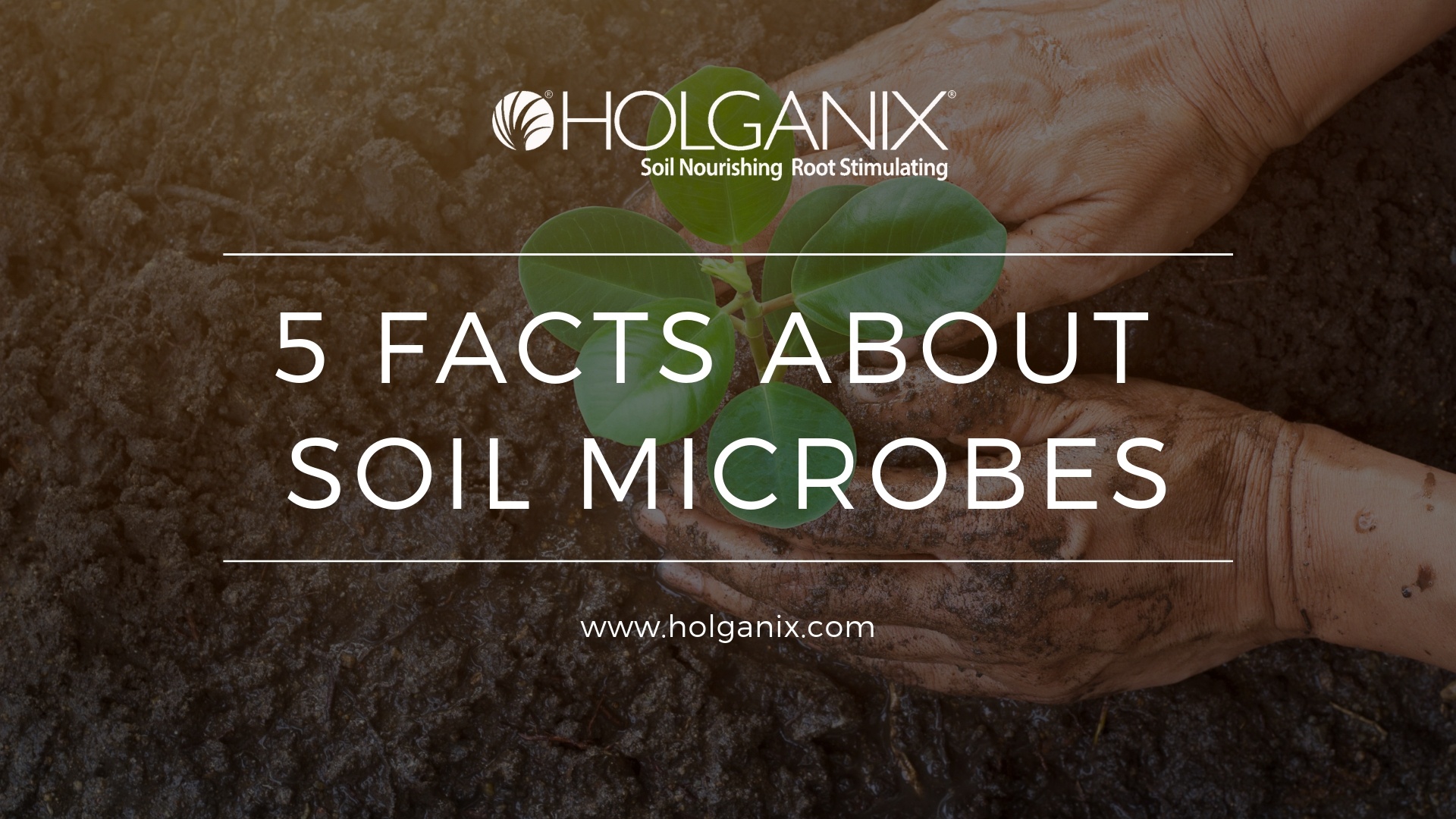 5 Facts about Soil Microbes Slide Share