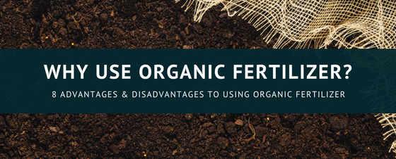 8 Advantages And Disadvantages Of Using Organic Fertilizer