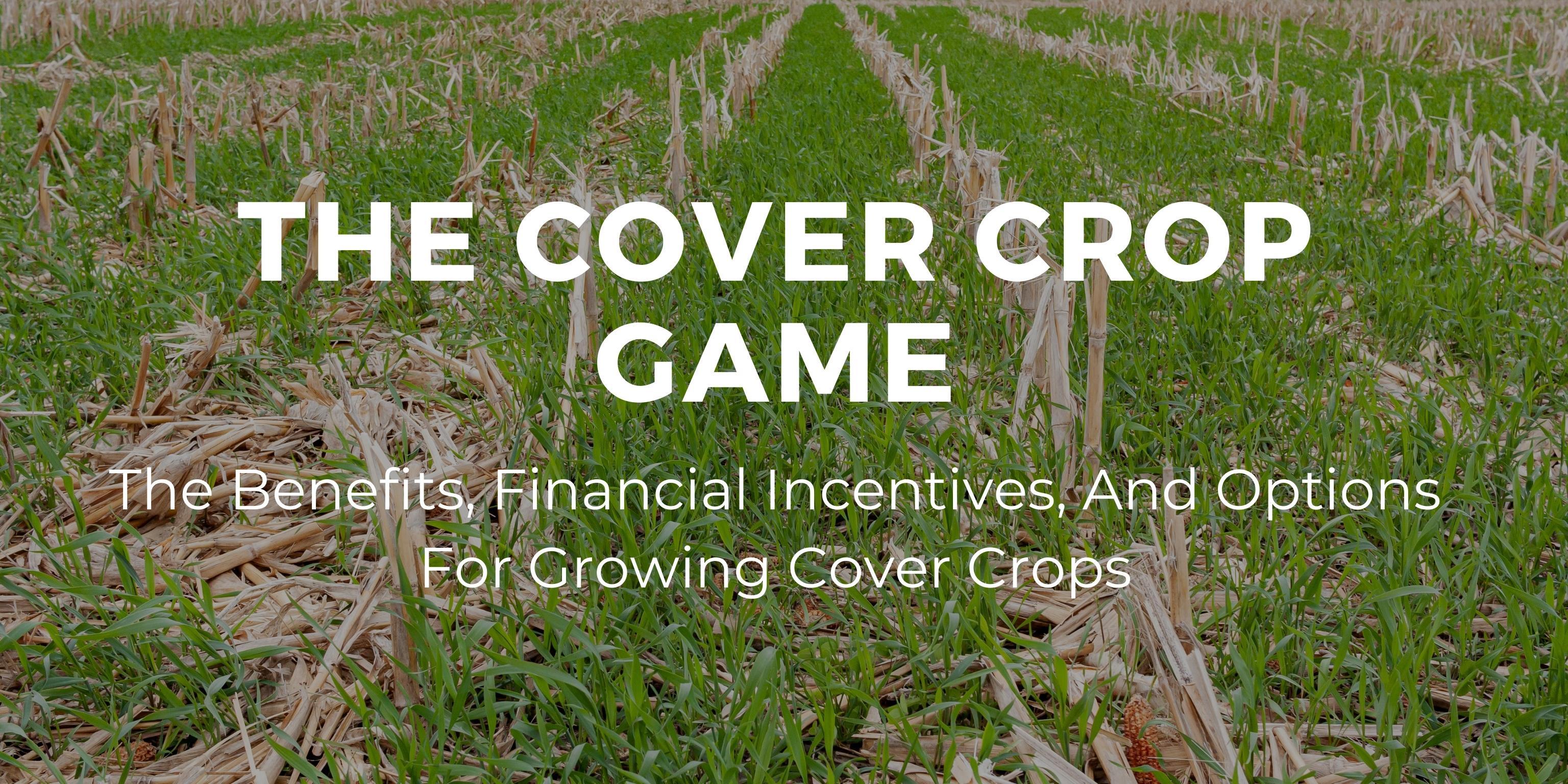 cover crops 