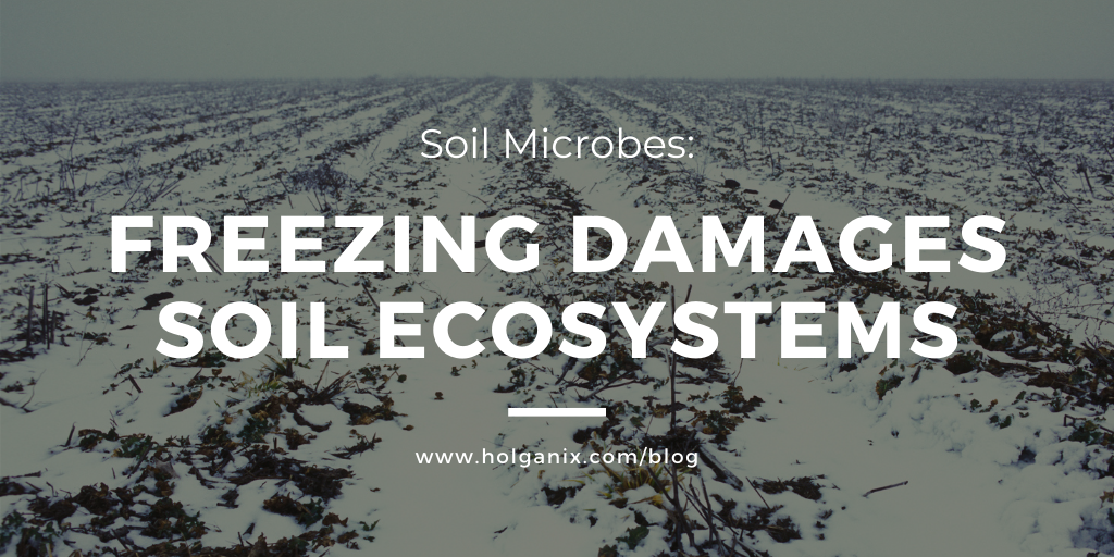 soil microbes