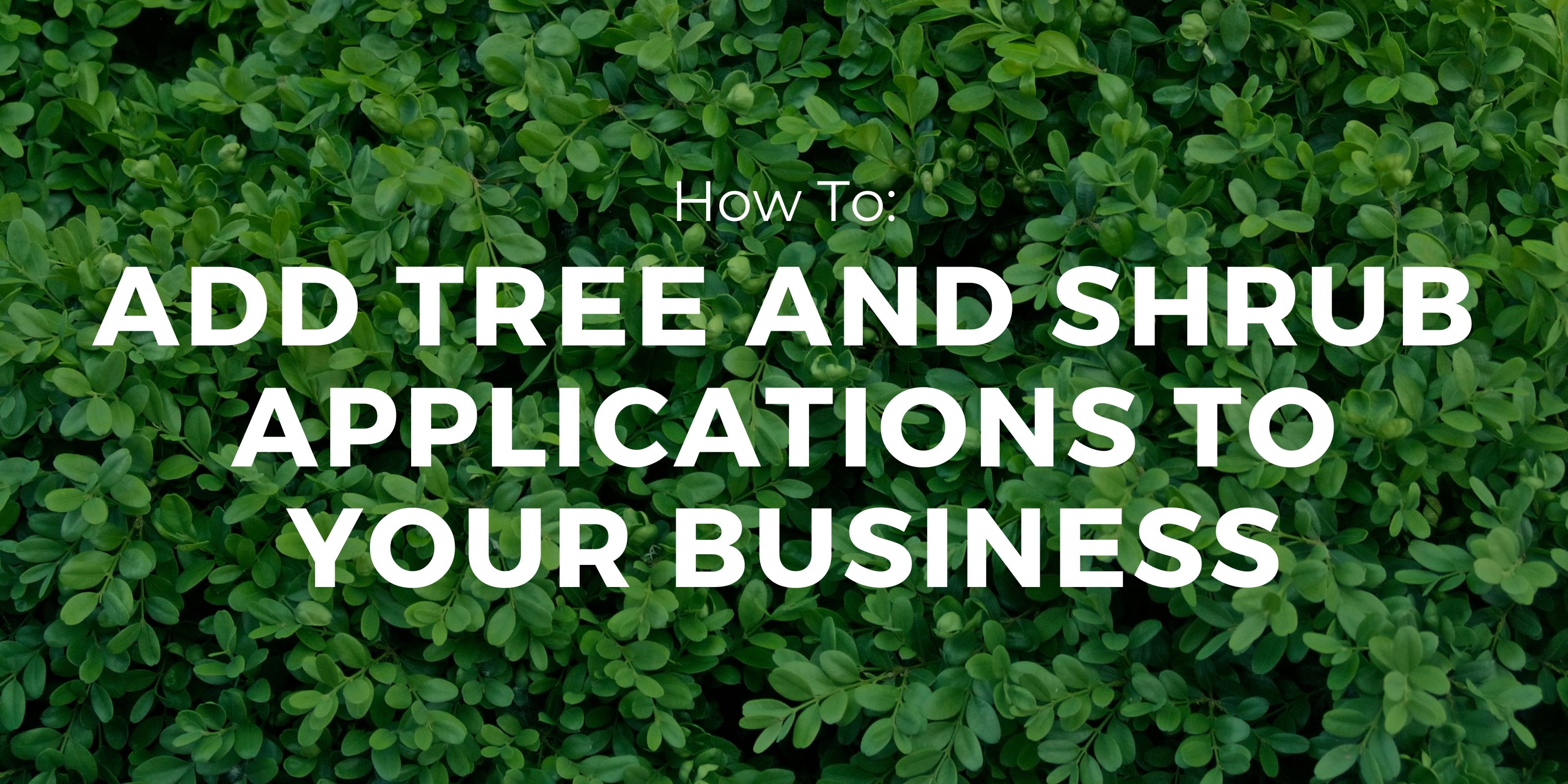 adding tree and shrub applications