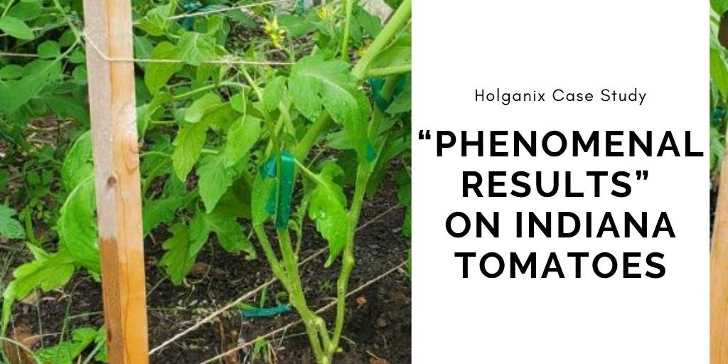 Holganix Case Study: “Phenomenal Results” on Indiana Tomatoes