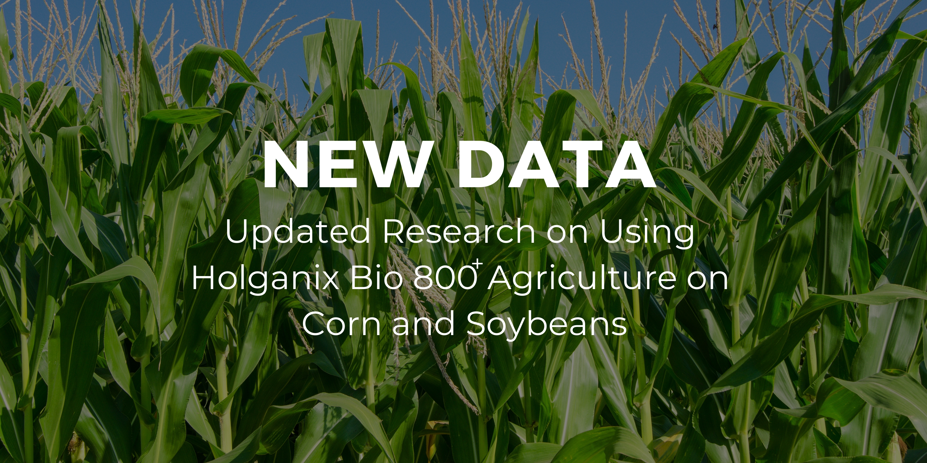 New Data: Using Holganix Bio 800 Agriculture on Corn & Soybeans