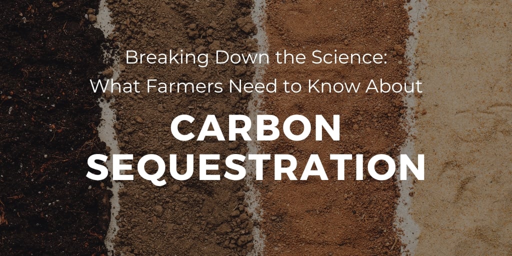 Carbon Sequestration 