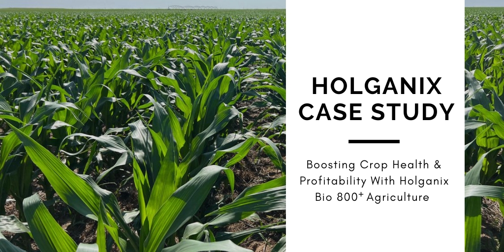 Holganix Case Study