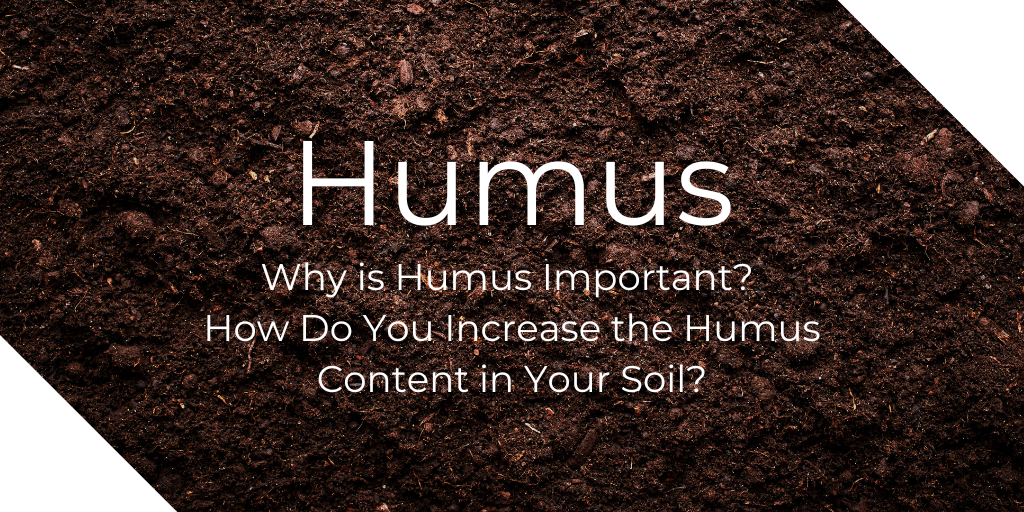Humus: Why Is Humus Important? How Do You Increase Soil Humus Content?