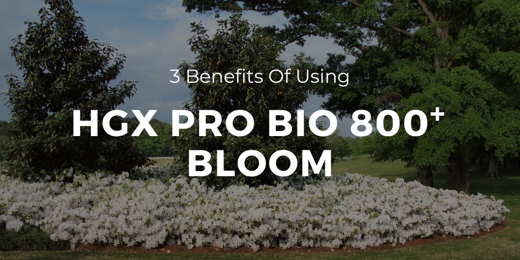 Benefits of HGX Pro Bio 800 Bloom