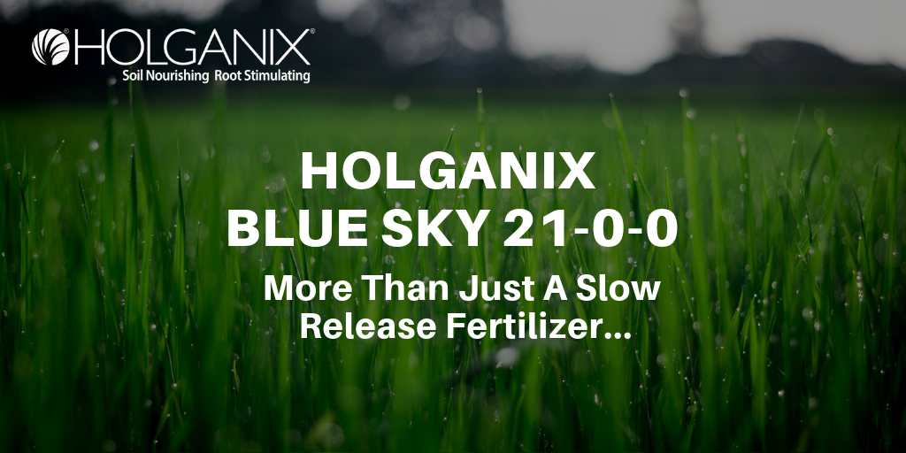 Looking For Thick, Green Turf? Apply Holganix Blue Sky 21-0-0 [VIDEO]