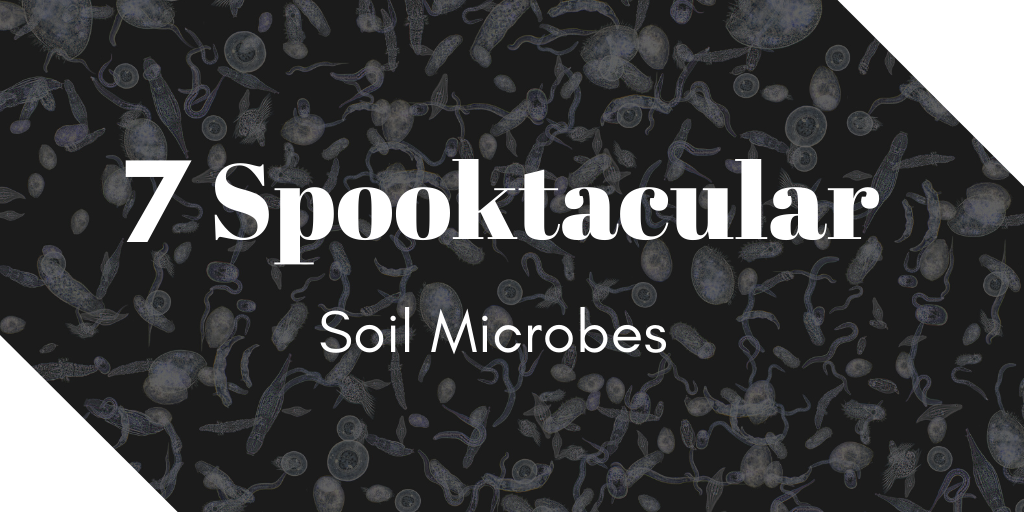 7 Spooktacular Soil Microbes