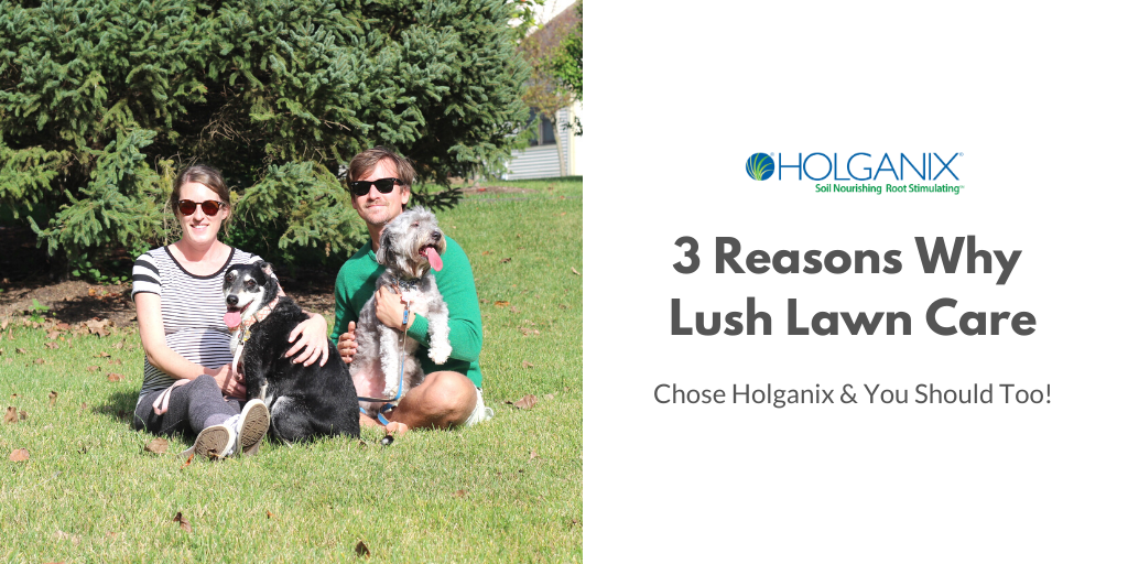 lush organic lawn care