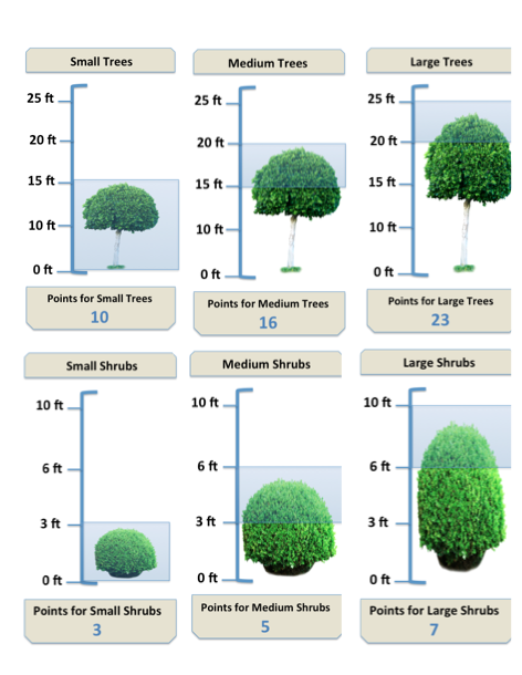 Shrubs Chart