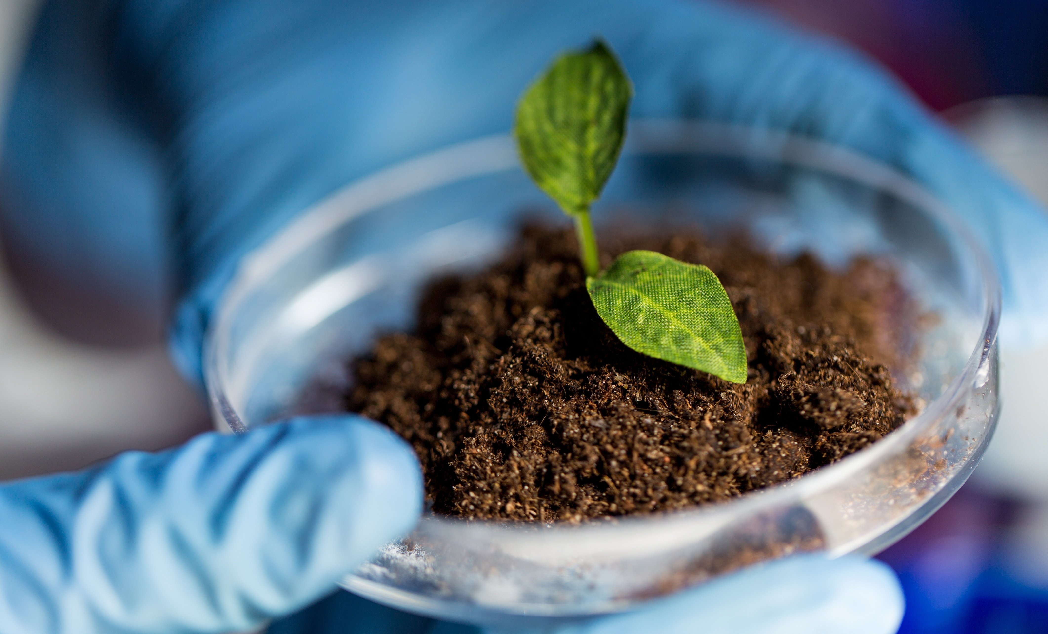 The Science Behind Holganix: Soil Microbes 101