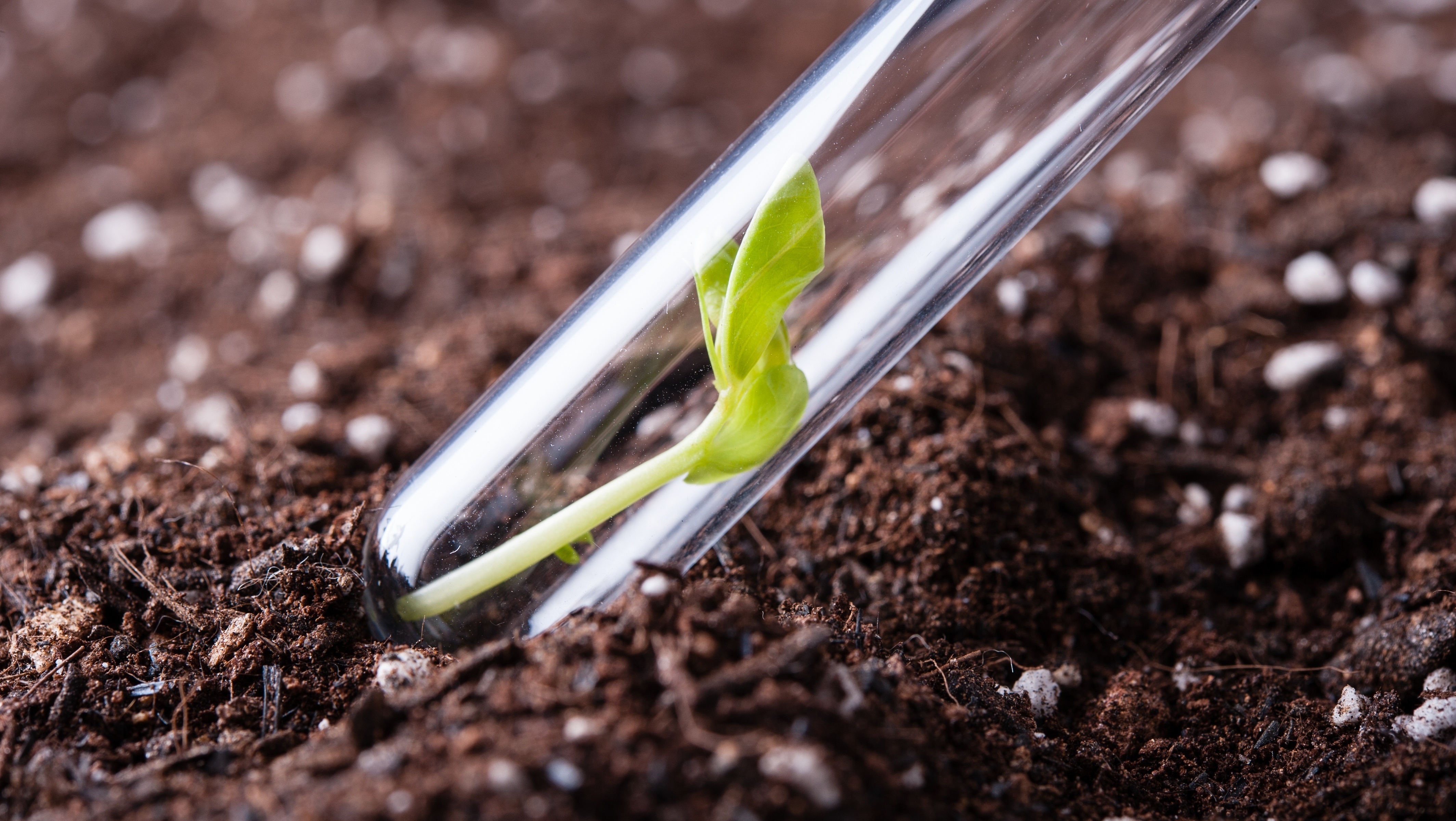 Agricultural soil testing picture