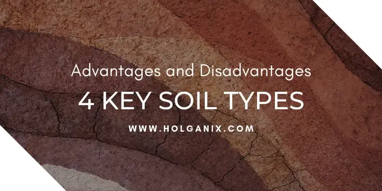 4 Key Soil Types: Advantages And Disadvantages