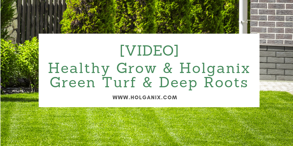 Healthy Grow & Holganix