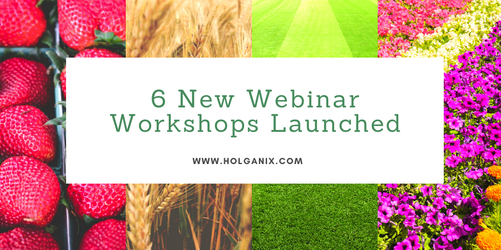 holganix webinars