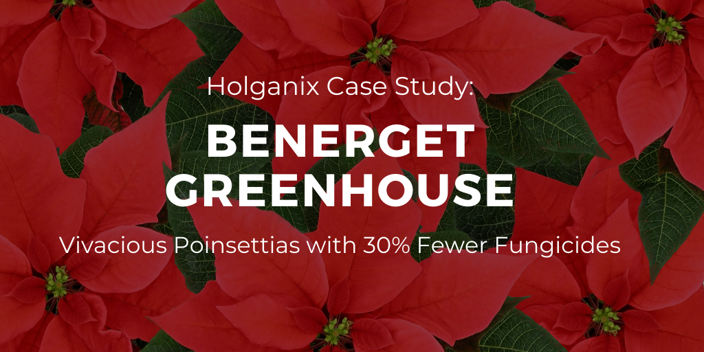 Holganix case study