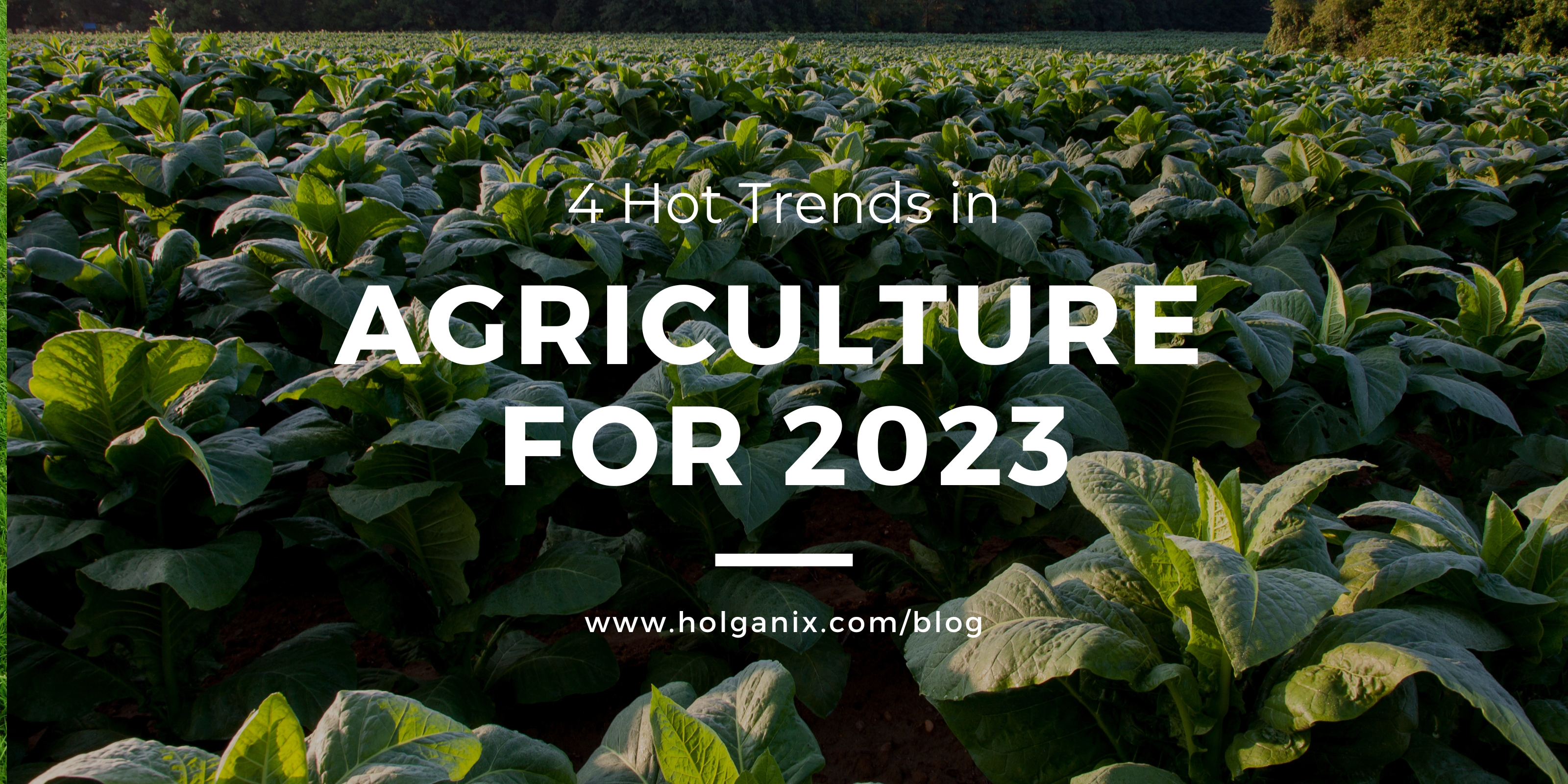 4 Hot Trends in Agriculture for 2023
