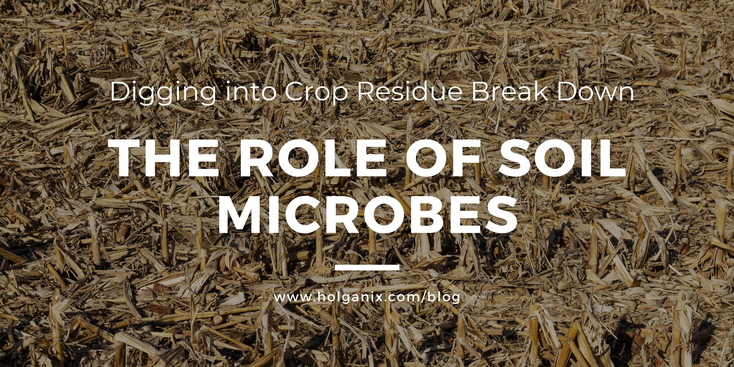 Digging into Crop Residue Break down: The Role of soil Microbes