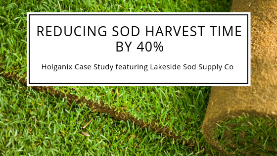 lakeside sod