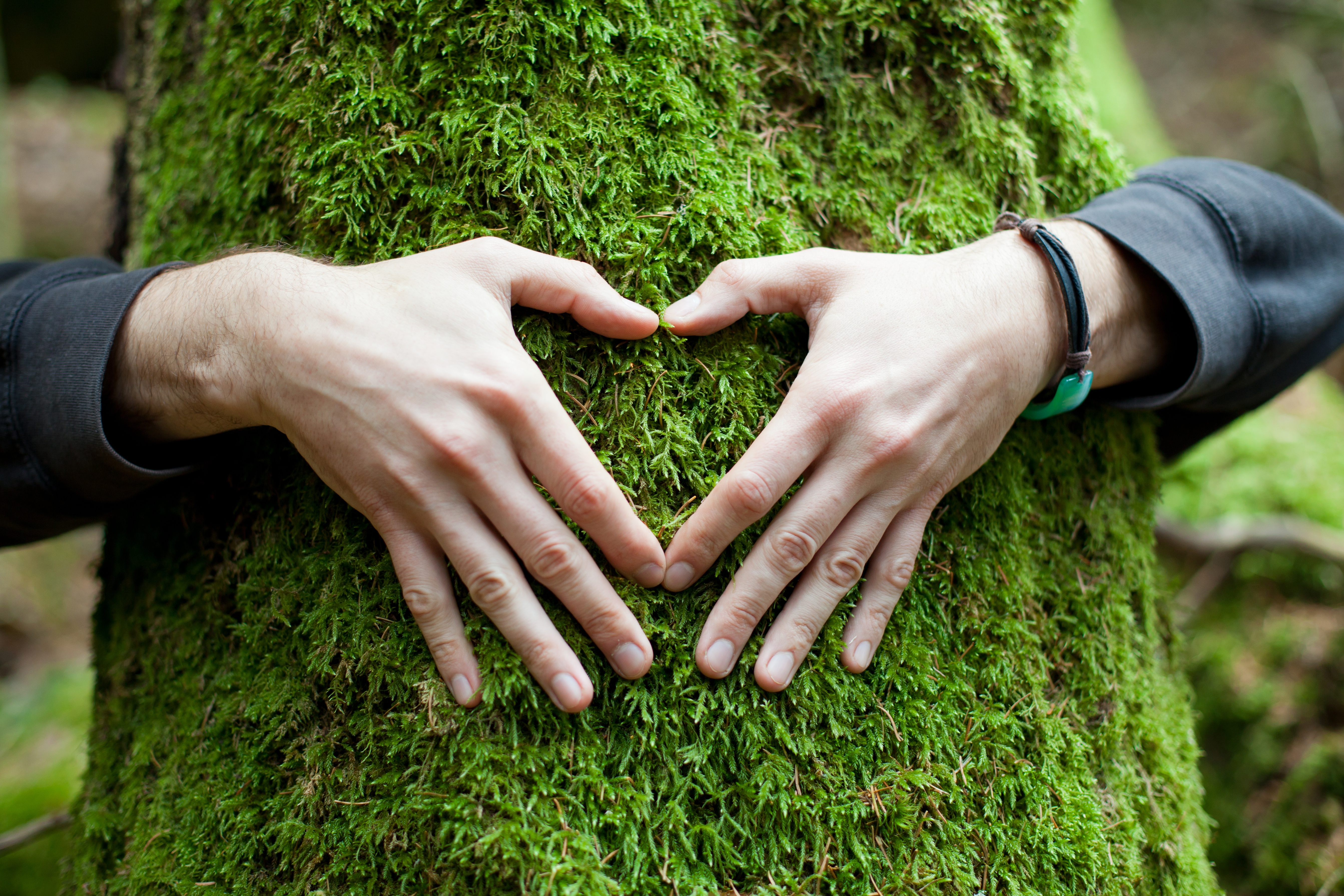 Сохранение хороших отношений. Человек и природа. Любовь к природе. Забота о природе. Дерево в руках.
