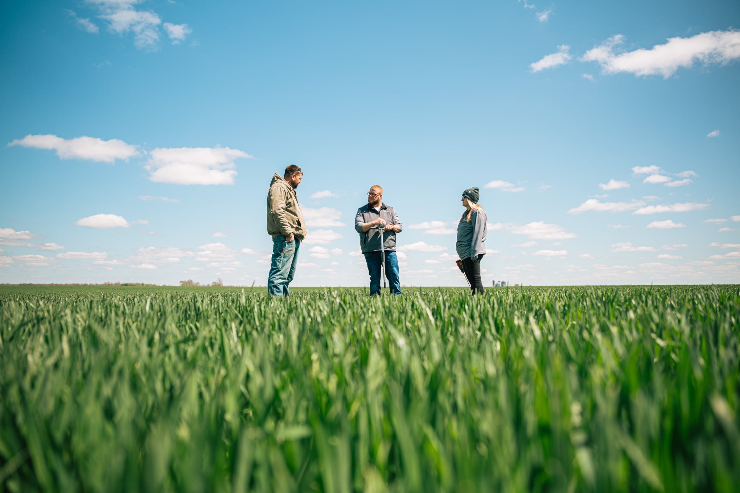 People standing in a green field