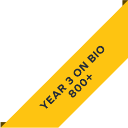 ribbon