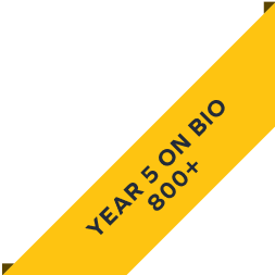 ribbon