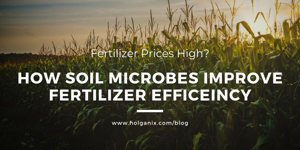 How Soil Microbes Improve Fertilizer Efficiency