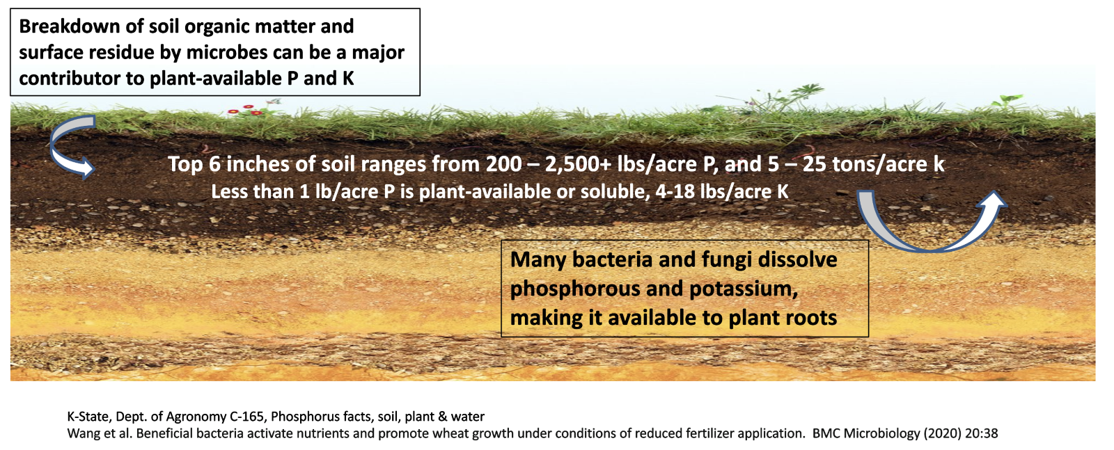 soil 