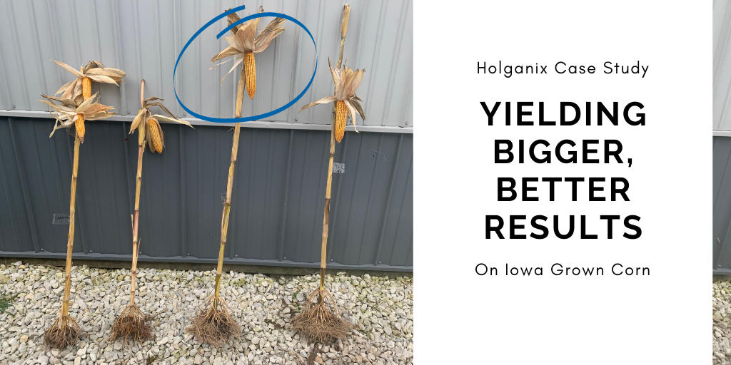 Holganix Case Study: Yielding Bigger, Better Results on Iowa Grown Corn